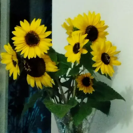 Zielone Tarasy - Pck 34 Apartment Jelenia Gora