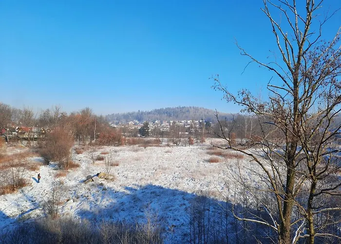 Apartamento Zielone Tarasy - Pck 34 *