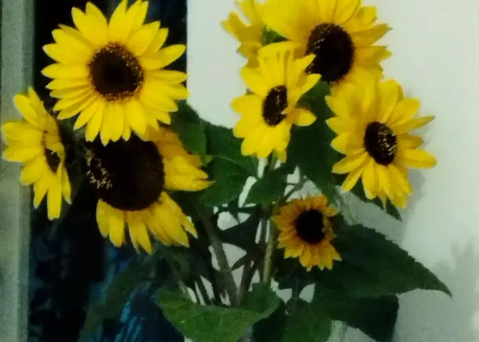 Zielone Tarasy - Pck 34 Apartamento Jelenia Góra